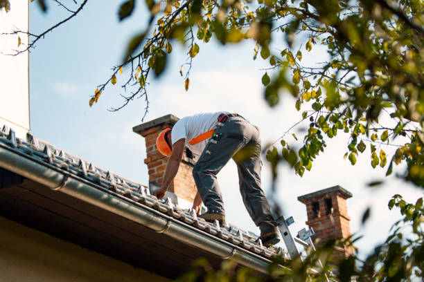 Best Residential Roof Replacement  in Wadena, MN