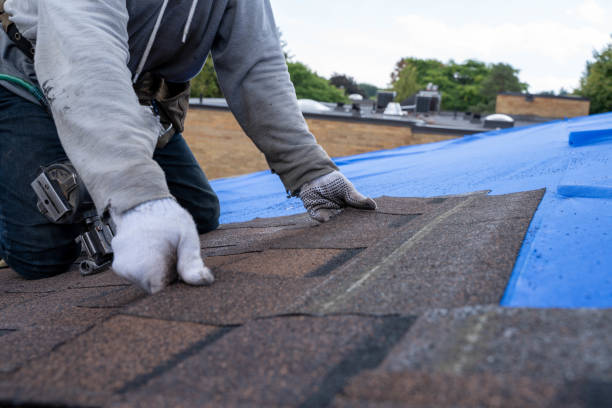 Best New Roof Installation  in Wadena, MN