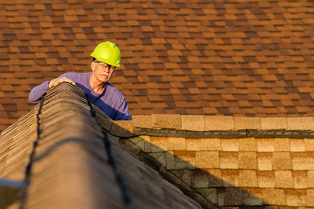Best Best Roofing Contractors  in Wadena, MN