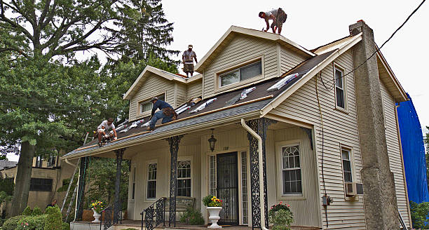 Best Emergency Roof Repair  in Wadena, MN